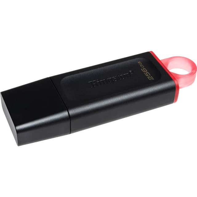 Kingston DataTraveler Exodia 256 GB usb-stick