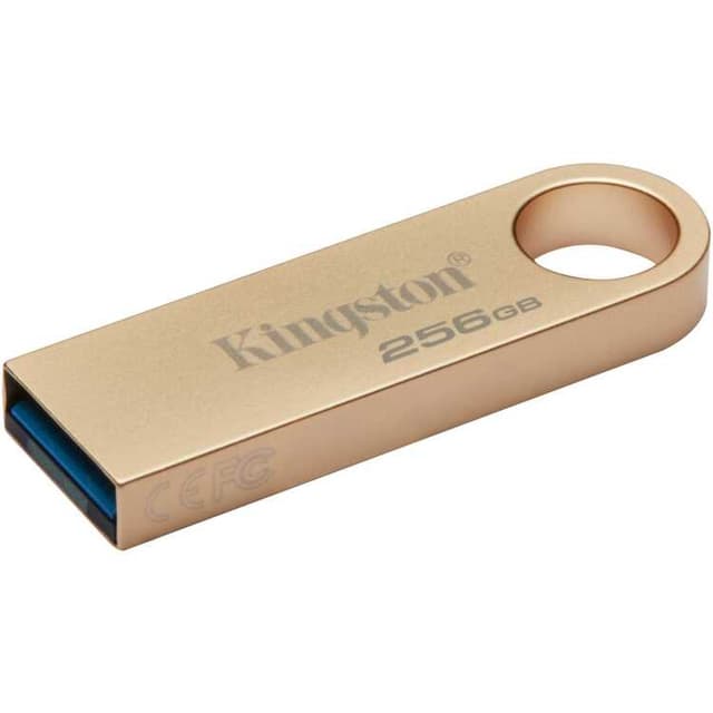 Kingston DataTraveler SE9 G3 256 GB usb-stick